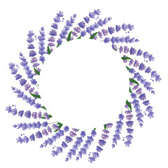 Round frame made of lavender flowers. Hand drawn watercolor illustration. Floral, flowers, plants, lavender, meadow, flower, summer, spring, circle