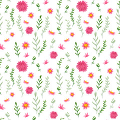 Seamless floral pattern. Hand drawn watercolor illustration. Flowers, plants, floriferous, aster, chrysanthemum, summer, spring, blossom, bloom