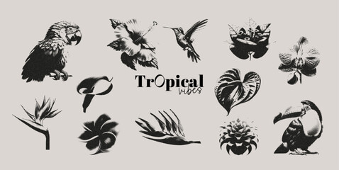 Tropical flowers and birds photocopy effect elements set with grunge stippling grain messy texture. Trendy y2k aesthetic vector illustration. Ideal for poster design, t shirt