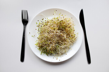 A plate with sprouts with knife and fork on a white background