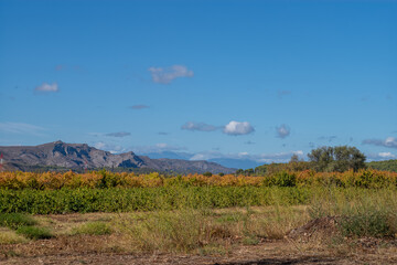 landscape with mountains