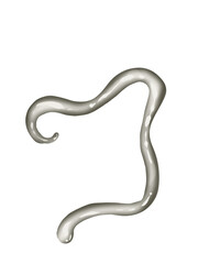 Illustration stamp design elements frame color 