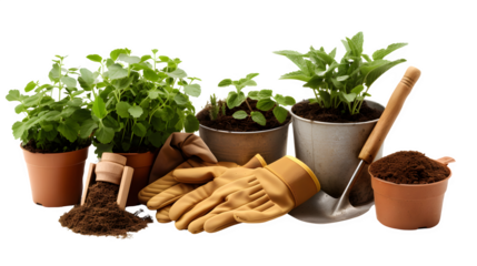 Gardener's Tools with Gardening Gloves and Plants for Horticulture and Greenery, Isolated on White, Transparent Background, PNG File, Hand Edited Generative AI