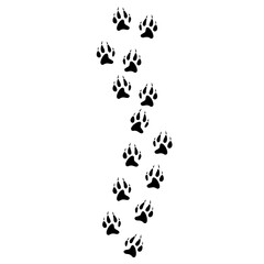flat Wolf Track footprints vector 