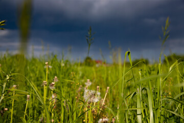 Obraz premium Panorama of rural landscape at wild changing stormy weather condition with rain and sun