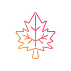 Usa Flag vector icon