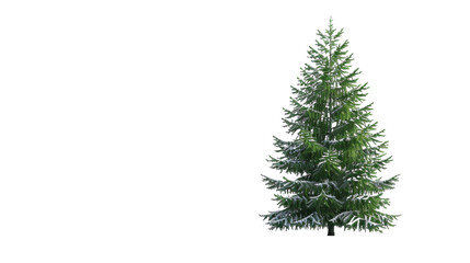A single green fruit stands out against a plain white background