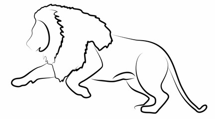 vector line art lion, logo icon