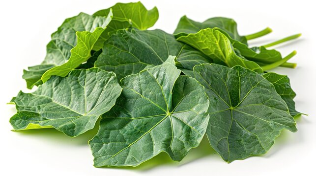 Fresh green leaves of Malabar spinach isolated on white background.