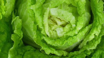 Green leafy vegetables (Chinese cabbage leaf) become intricate works of art, their delicate forms...