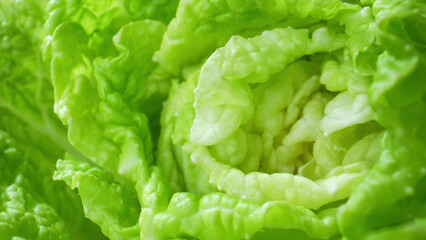 Vibrant hues and intricate patterns unfold in mesmerizing of fresh green leafy vegetables (Chinese cabbage leaf), unveiling nature's masterpiece of color, texture, and form.
