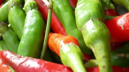 Explore the mesmerizing world of colorful chili peppers in stunning macro. Witness vibrant colors,...