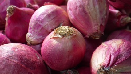Discover the exquisite details of red shallots in this macro. Witness the fine lines and delicate hues that make these shallots a masterpiece of nature's design.
