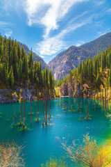 Sunken forest in the mountain lake Kaindy in Kazakhstan. Beautiful mountain natural landscape.