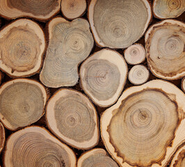 background of sawn tree trunks