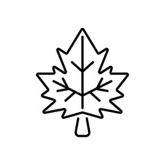 Maple Leaf vector icon