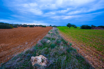 wide rural field under dense clouds