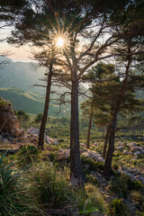 mountains and photography