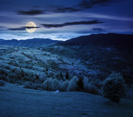 rural mountain landscape in spring at night. grass and trees on the hills rolling through the green...