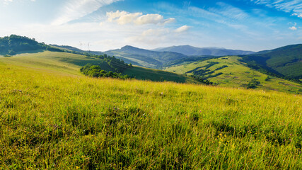 Obraz premium countryside landscape with forested rolling hills behind grassy meadows of carpathian mountains in morning light. beautiful summer scenery of Volovets district, Ukraine. borzhava ridge in the distance