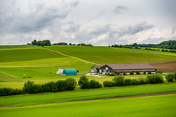 Gr&uuml;ne Agrarlandschaft nach vielen Regenf&auml;llen