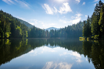 scenery with alpine lake synevyr of carpathian mountains in morning light. summer landscape with...