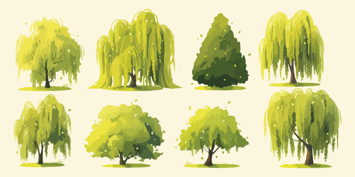 willow tree clipart vector for graphic resources	