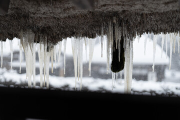 氷柱と雪景色