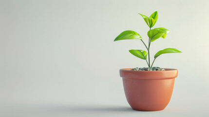 Small green plant in a terracotta pot, set against a neutral background, creating a minimalistic and clean image.