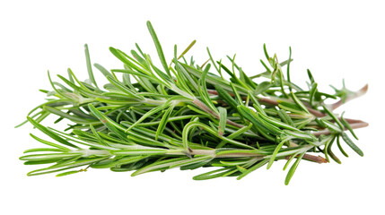 Fototapeta premium A cluster of vibrant green grass blades against a plain white backdrop