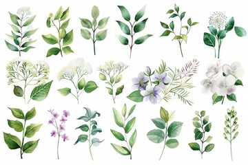 A collection of watercolor flower and leaf illustrations featuring various green foliage and delicate blossoms on a white background.