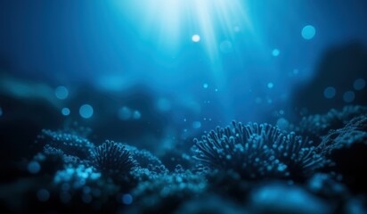 blue blurry underwater bokeh