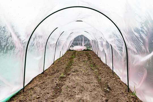 The garden bed on plastic arches. Gardening poly tunnel for farming of vegetables.