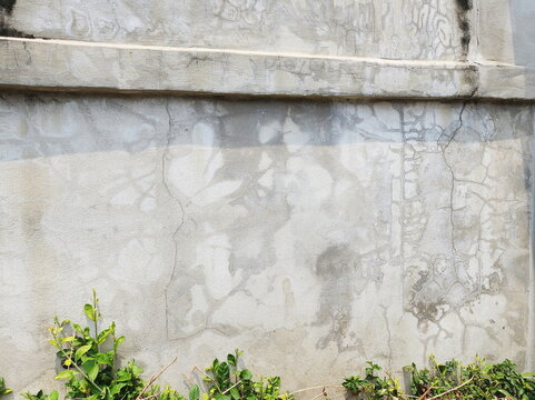 The unpainted plaster wall has cracks and khoi trees grow beneath it. Cement walls that are exposed to water, rain, dust and hot weather cause pronounced cracks. The cement fence was soaked with water