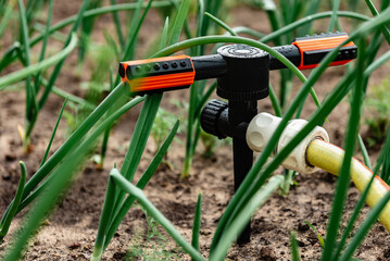Automatic sprinkler system watering in spring garden.