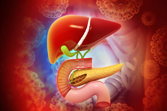 Liver and pancreas diseases. 3d illustration