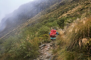 Mountain hiking trail on Routeburn track, hiker with backpack in the fog and rain