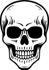 Skull outline vector graphic icon logo isolated on a white transparent background