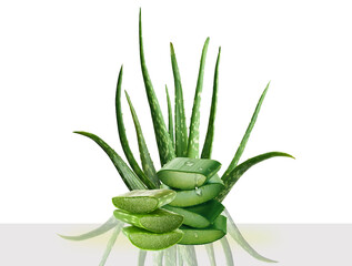 aloe con goccia
