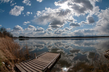 Naklejka premium morning landscape of summer forest over the pond