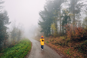 Alone in the misty forest, a young woman hikes along a foggy walkway, embracing the autumn adventure amidst yellowing trees in the national park.