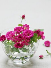 bouquet of pink roses