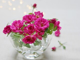 bouquet of pink roses