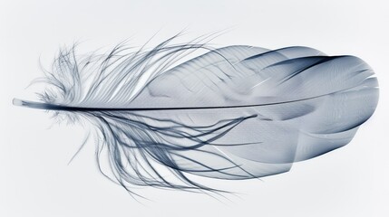 A close-up view captures the intricate details of a single white feather resting delicately on a clean, white background. The feathers soft texture and intricate patterns are highlighted.