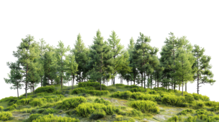 Cluster of trees situated atop a vibrant green hill