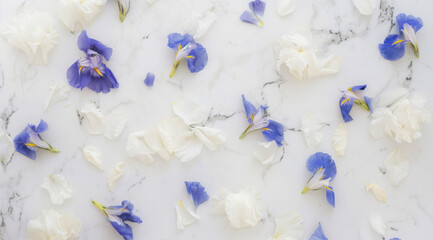 Small blue flowers on a marble background
