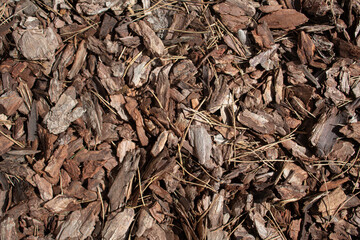 Tree bark mulch laid in a dense layer. Pieces of bark of different sizes have natural brown shades and are mixed with thin needles of coniferous trees.