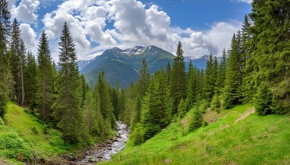 Fototapeta premium Panoramic view of a mountain evening summer landscape covered with dense forest, the forest consists mainly of tall coniferous trees such as spruce and fir, a small stream flows between the mountains