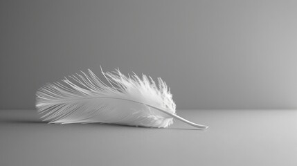 A single white feather resting on a smooth, unblemished surface, symbolizing simplicity and purity in a minimalist composition.