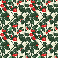 Tomato plant illustration